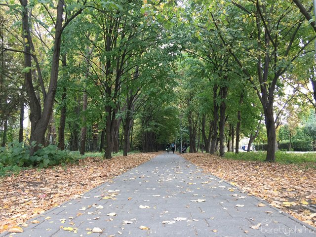 Szépül városunk 06